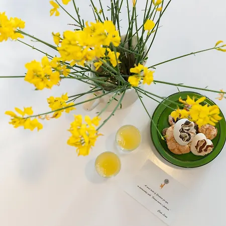 Casa Leone Appartement